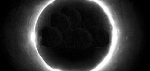 Screenshot of Nintendo Wii