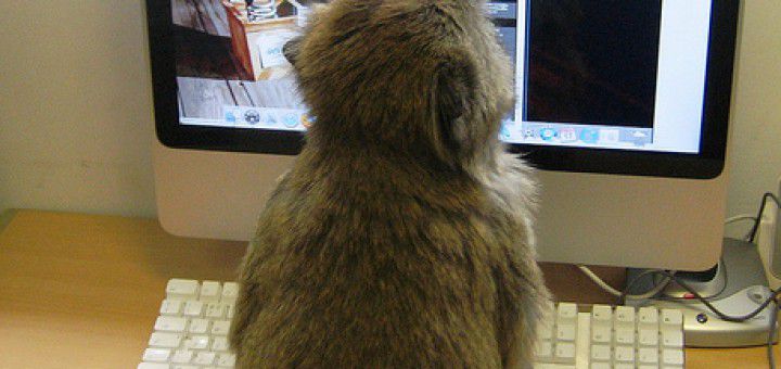 Monkeys love Weasels!