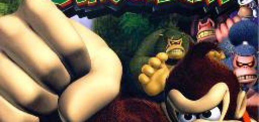 Nintendo Gamecube games on Wii