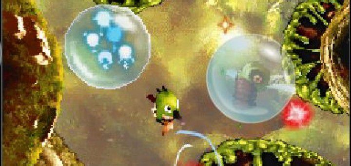 Screenshot of Nintendo DS