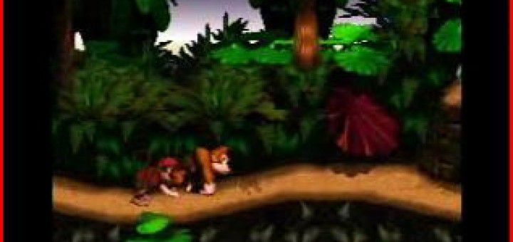 Donkey Kong Country