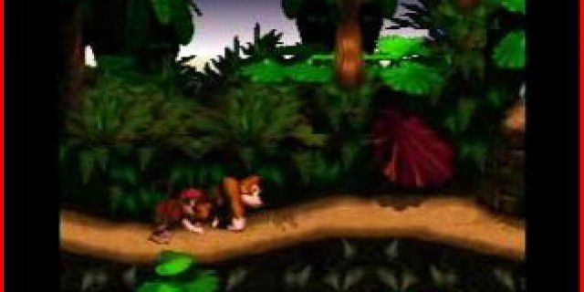 Donkey Kong Country picture