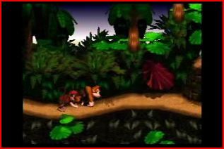 Donkey Kong Country picture