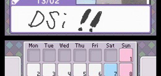 Screenshot of Nintendo DSi