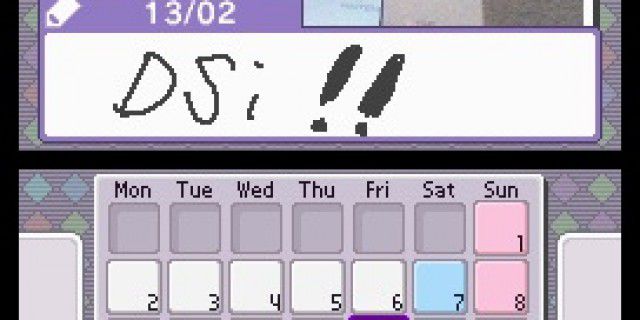 Screenshot of Nintendo DSi