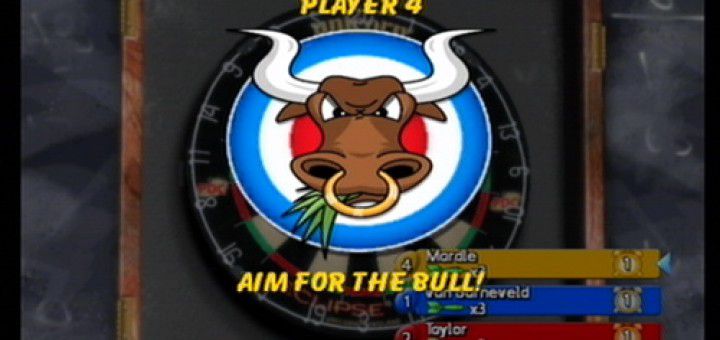 PDC World Championship Darts 2009 picture