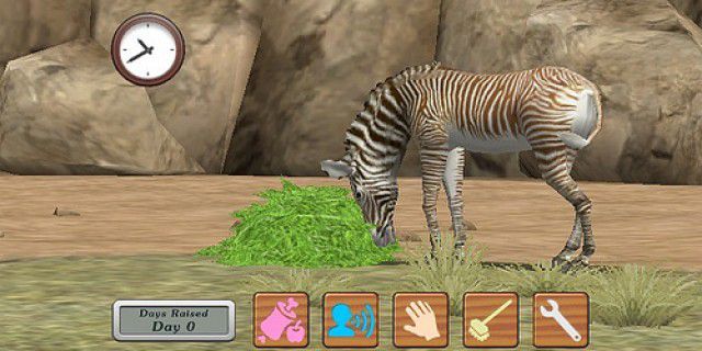 My Zoo picture