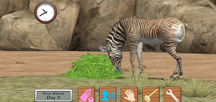 My Zoo picture