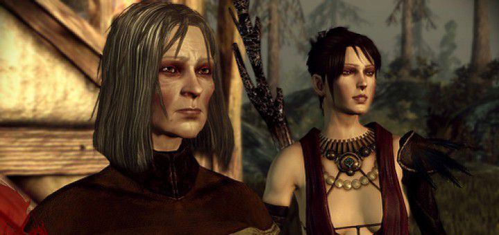 Dragon Age Origins Awakening