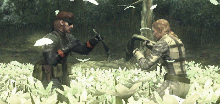 Nintendo 3DS picture